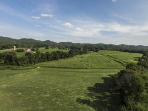 137 Mountain View Rd, Heiskell, TN 37754 photo 28