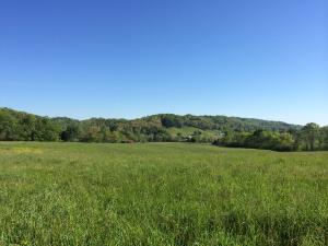 137 Mountain View Rd, Heiskell, TN 37754 photo 9