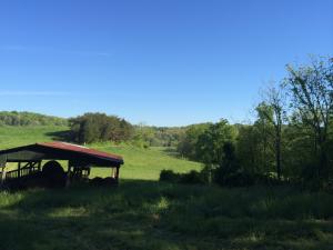 137 Mountain View Rd, Heiskell, TN 37754 photo 13