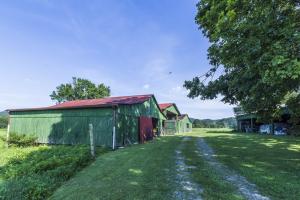 137 Mountain View Rd, Heiskell, TN 37754 photo 6