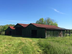 137 Mountain View Rd, Heiskell, TN 37754 photo 15