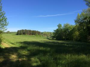 137 Mountain View Rd, Heiskell, TN 37754 photo 18