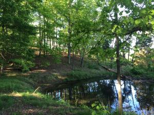 137 Mountain View Rd, Heiskell, TN 37754 photo 24