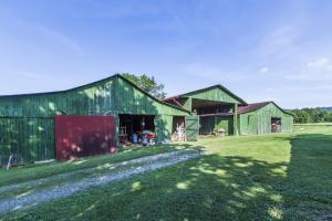 137 Mountain View Rd, Heiskell, TN 37754 photo 7