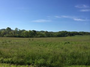 137 Mountain View Rd, Heiskell, TN 37754 photo 8