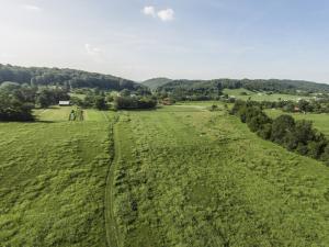 137 Mountain View Rd, Heiskell, TN 37754 photo 32