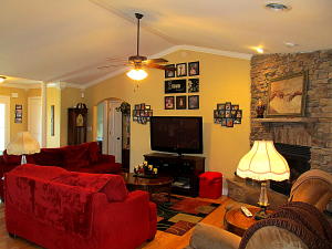 6528 Ruby June Ln, Corryton, TN 37721 photo 8