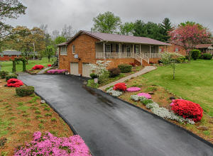 565 Ronald Dr, Talbott, TN 37877 photo 9