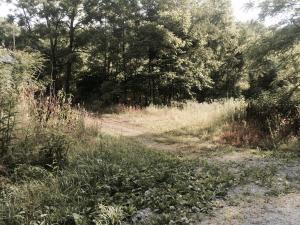 645 Beech Holw, Harrogate, TN 37752 photo 1