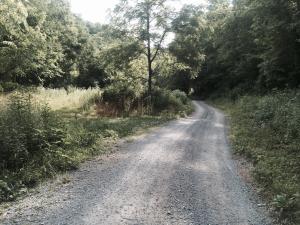 645 Beech Holw, Harrogate, TN 37752 photo 2