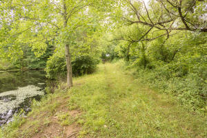 581 Shady Ln, Oneida, TN 37841 photo 17
