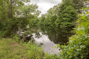 581 Shady Ln, Oneida, TN 37841 photo 19