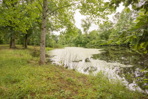 581 Shady Ln, Oneida, TN 37841 photo 18