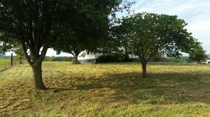 1650 Jackson Rd, Rutledge, TN 37861 photo 2