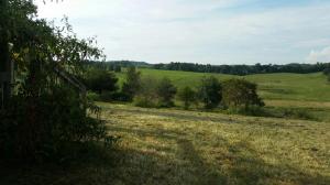 1650 Jackson Rd, Rutledge, TN 37861 photo 4