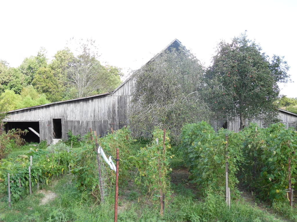 7472 Old Mill Rd, Baxter, TN 38544 photo 14