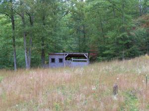 208 Anthony Rd, Sunbright, TN 37872 photo 20