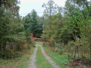 208 Anthony Rd, Sunbright, TN 37872 photo 21