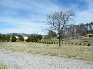 6200 Peterson Rd, Greenback, TN 37742 photo 14