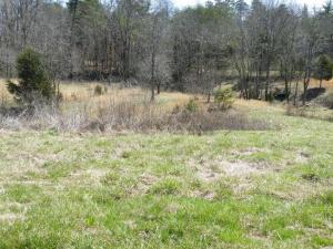 6200 Peterson Rd, Greenback, TN 37742 photo 6
