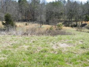 6200 Peterson Rd, Greenback, TN 37742 photo 17