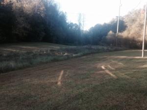 723 Archer Rd, Maynardville, TN 37807 photo 7