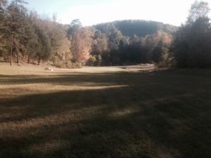 723 Archer Rd, Maynardville, TN 37807 photo 4