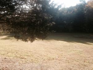 723 Archer Rd, Maynardville, TN 37807 photo 2
