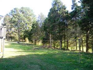 739 N White Pine Rd, Talbott, TN 37877 photo 4