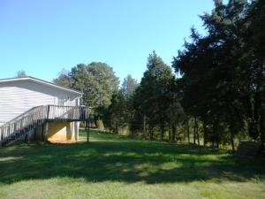 739 N White Pine Rd, Talbott, TN 37877 photo 8