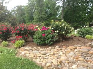 7908 Castlecomb Rd, Powell, TN 37849 photo 28