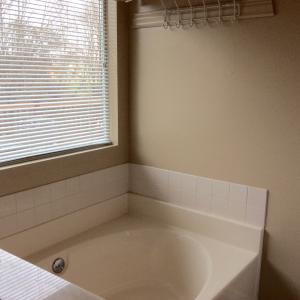 7524 Wilderness Path, Corryton, TN 37721 photo 11