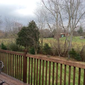 7524 Wilderness Path, Corryton, TN 37721 photo 14