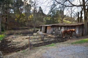 8113 Heiskell Rd, Powell, TN 37849 photo 14
