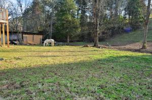 8113 Heiskell Rd, Powell, TN 37849 photo 15