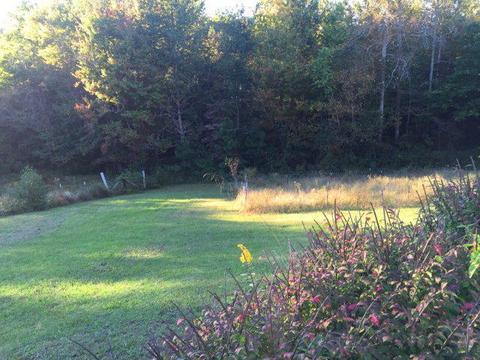 8971 Old Baxter Rd, Baxter, TN 38544 photo 27