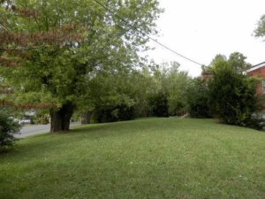 2006 Loop Rd, La Follette, TN 37766 photo 5