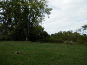 2006 Loop Rd, La Follette, TN 37766 photo 6