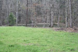206 Cook Rd, Clarkrange, TN 38553 photo 7