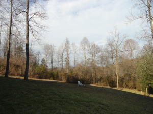 129 Carson Pl, Clinton, TN 37716 photo 36