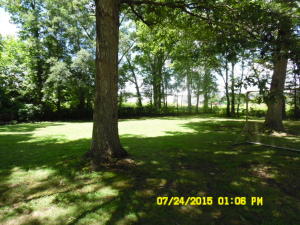181 Minton Dr, Baxter, TN 38544 photo 2