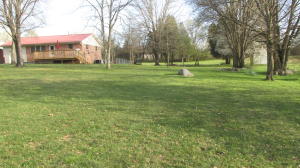 1357 Fork Rd, Greenback, TN 37742 photo 4
