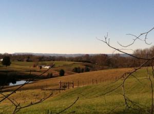 6658 Sanders Avenue, Talbott, TN 37877 photo 16