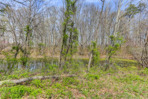 7304 Corryton Rd, Corryton, TN 37721 photo 29