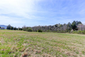 7304 Corryton Rd, Corryton, TN 37721 photo 28