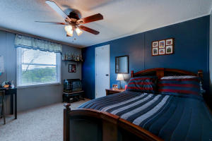 7825 Branson Ln, Corryton, TN 37721 photo 17