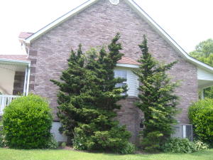 170 Kendra Dr, Oneida, TN 37841 photo 29