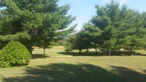1040 Talbott Kansas Rd, Talbott, TN 37877 photo 8