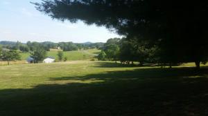 1040 Talbott Kansas Rd, Talbott, TN 37877 photo 9