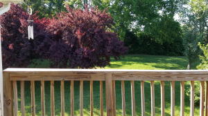1040 Talbott Kansas Rd, Talbott, TN 37877 photo 28